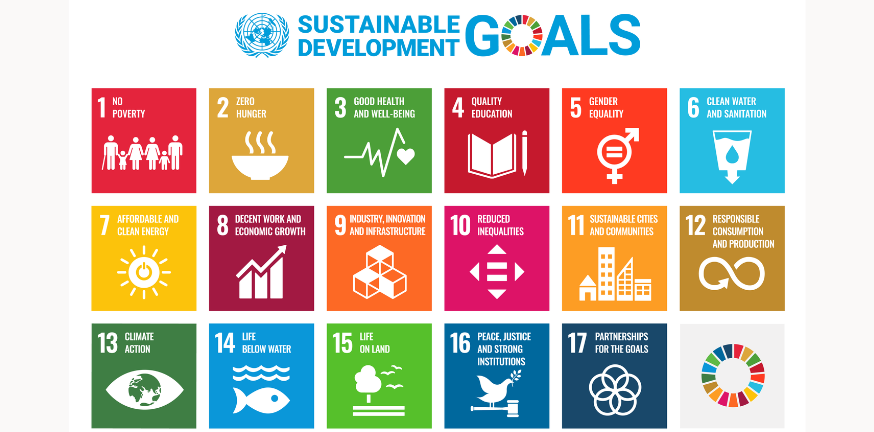 SDG Cell MSRCASC Logo